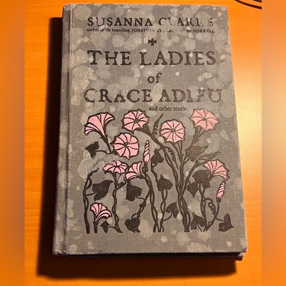 The Ladies of Grace Adieu by Clarke, Susanna Hardback Book Good Vintage